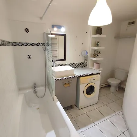 Apartment Roseraie T2 Wifi Parking Clim Toulouse