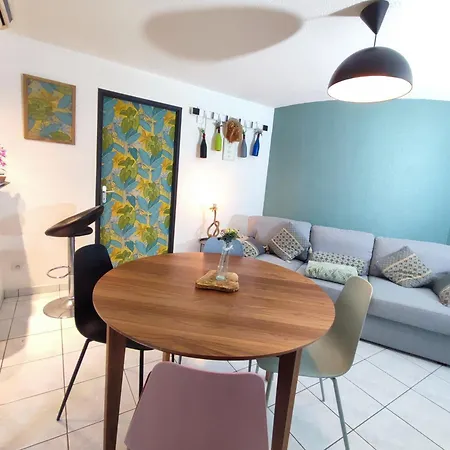 Roseraie T2 Wifi Parking Clim Apartment