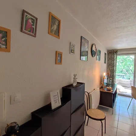 Roseraie T2 Wifi Parking Clim Appartement